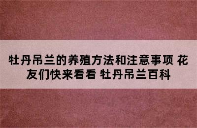 牡丹吊兰的养殖方法和注意事项 花友们快来看看 牡丹吊兰百科